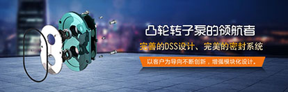 凸轮中国X站XVDEVIOS安卓安装解决渣浆泵存在的问题
